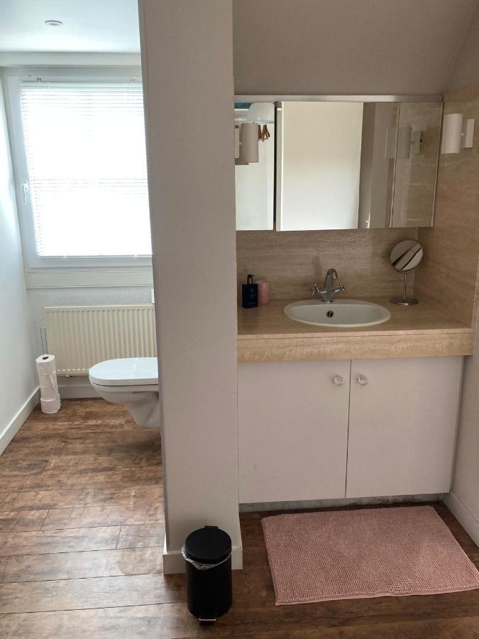 Rustig Appartement In Het Groen Met Terras Kontich 外观 照片